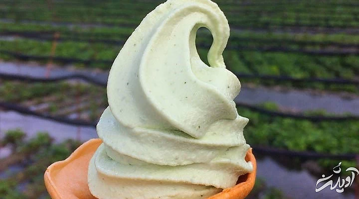 خاصترین بستنیهایی که اسمشان را هم نشنیدهاید